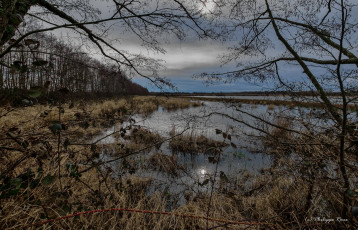 Картинка природа реки озера лес река