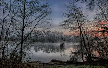 Картинка природа реки озера лес река