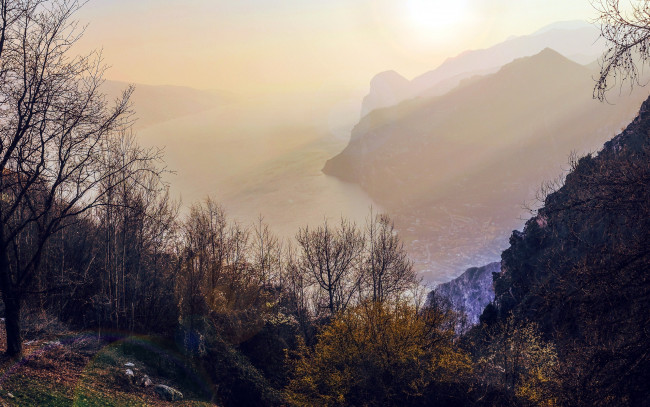 Обои картинки фото природа, горы, туман, деревья, гора