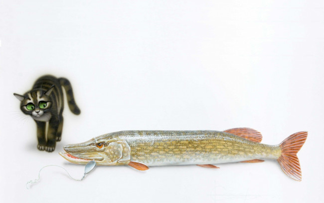 Обои картинки фото рисованное, животные, кот, рыба, владимир, стахеев, крючок, детям, щука, ситуация, арт