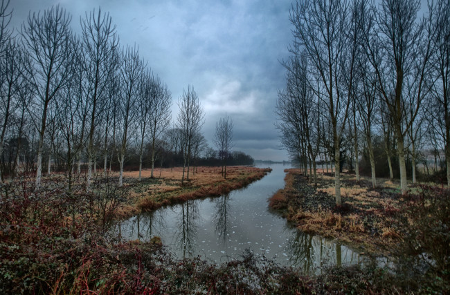 Обои картинки фото природа, реки, озера, лес, река