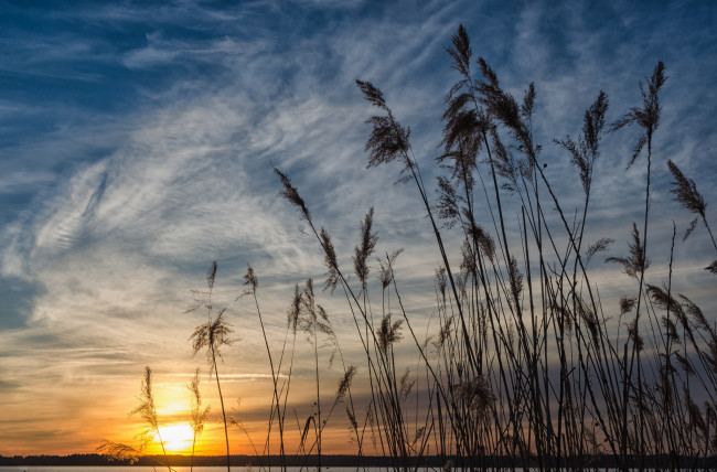 Обои картинки фото природа, восходы, закаты, рассвет