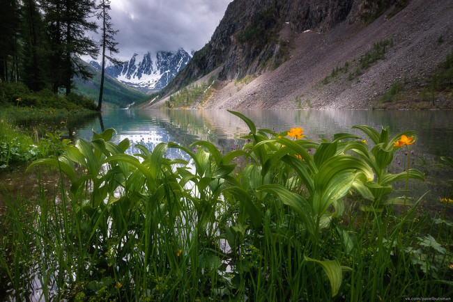 Обои картинки фото природа, горы, комментарий, без