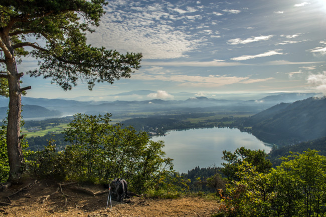 Обои картинки фото природа, реки, озера, лес, река