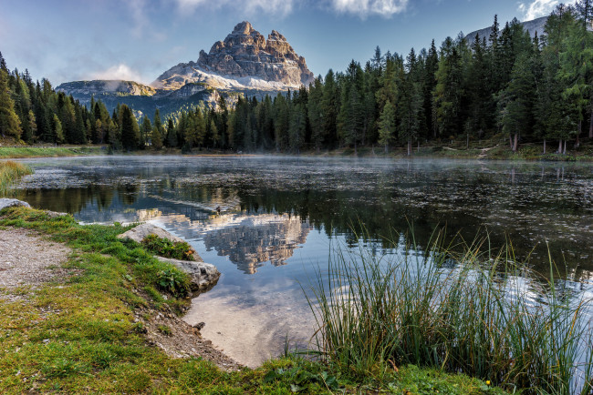 Обои картинки фото природа, реки, озера, лес, река