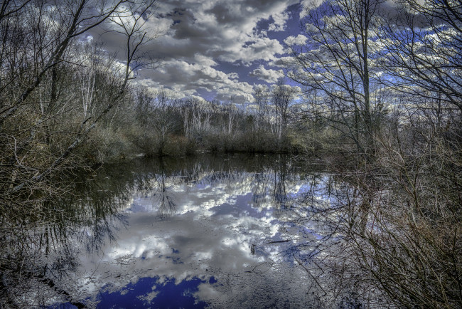 Обои картинки фото природа, реки, озера, лес, река