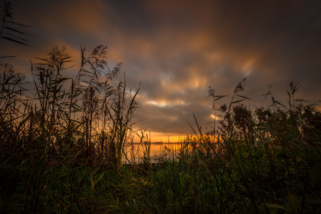 Обои картинки фото природа, реки, озера, река, лес