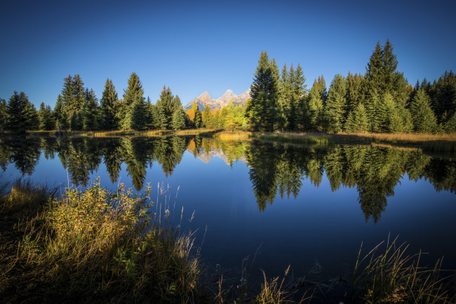 Обои картинки фото природа, реки, озера, река, лес