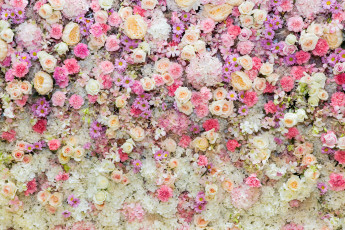 Картинка цветы разные+вместе бутоны розовые roses pink розы фон bud flowers