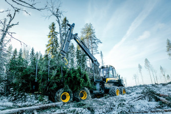 Картинка техника лесоповалочная+техника buffalo