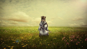 Картинка разное компьютерный+дизайн автомат поле фон мышь