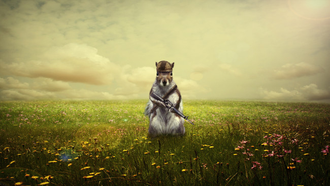 Обои картинки фото разное, компьютерный дизайн, автомат, поле, фон, мышь