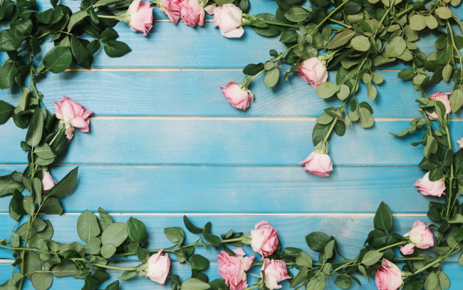 Обои картинки фото цветы, розы, roses, fresh, розовые, flowers, tender, romantic, pink, wood, бутоны