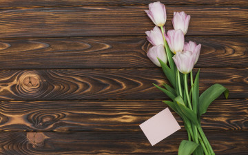 Картинка цветы тюльпаны букет