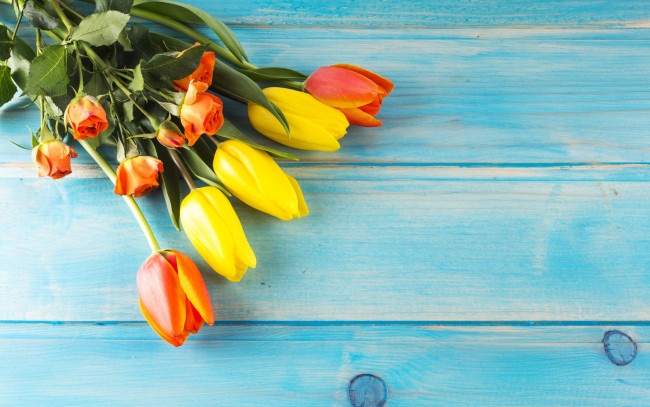 Обои картинки фото цветы, разные вместе, стиль