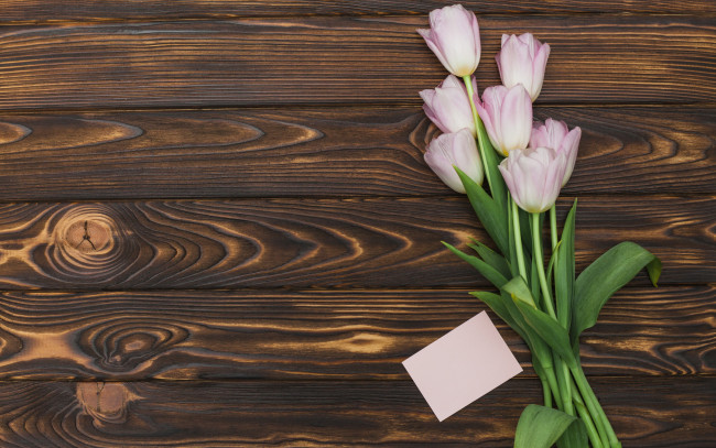 Обои картинки фото цветы, тюльпаны, букет