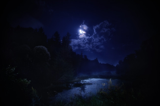Обои картинки фото природа, пейзажи, ночь, красота, пейзаж, деревья, лес, вода, пруд, водоём, небо, облака, темнота, отражение