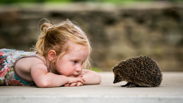 Картинка разное люди маленькая девочка лежа на полу яркое платье еж размытый фон