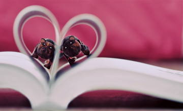 Картинка разное канцелярия +книги книга страницы игрушки звери