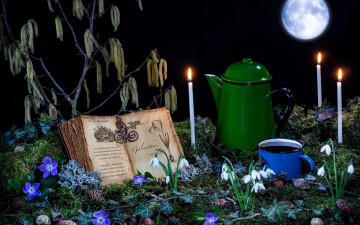 Картинка еда натюрморт цветы свечи луна книга кофейник кофе