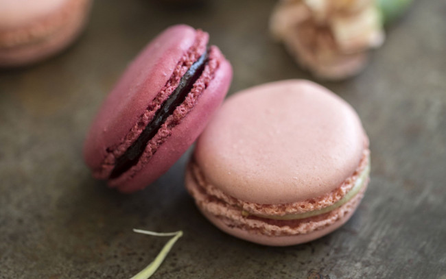 Обои картинки фото еда, макаруны, лакомство, печенье