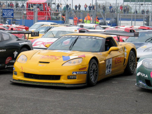 Картинка chevrolet corvette c6 gt3 автомобили выставки уличные фото