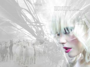 Картинка разное компьютерный дизайн