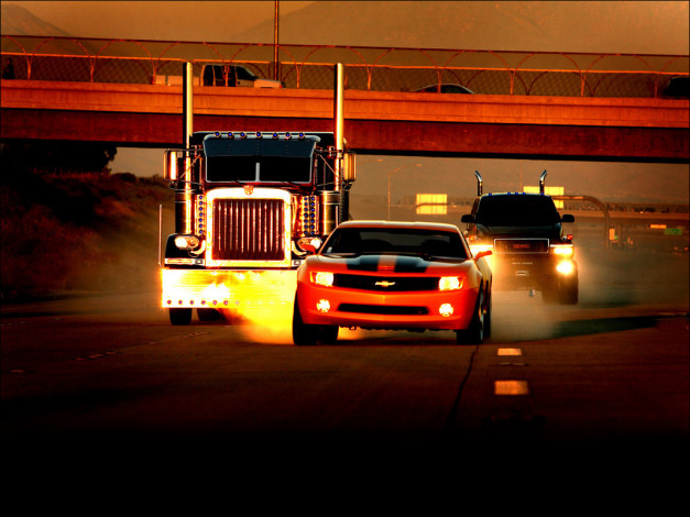 Обои картинки фото автомобили, разные, вместе