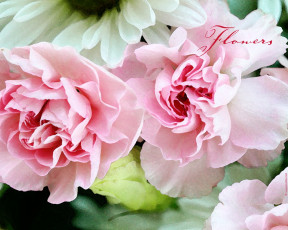 Картинка рисованные цветы