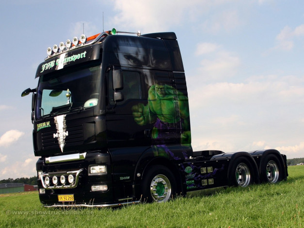 Обои картинки фото автомобили, man