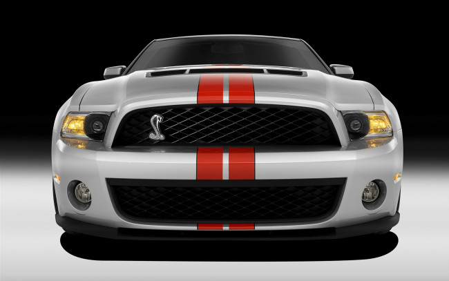 Обои картинки фото ford, shelby, gt5, автомобили, mustang