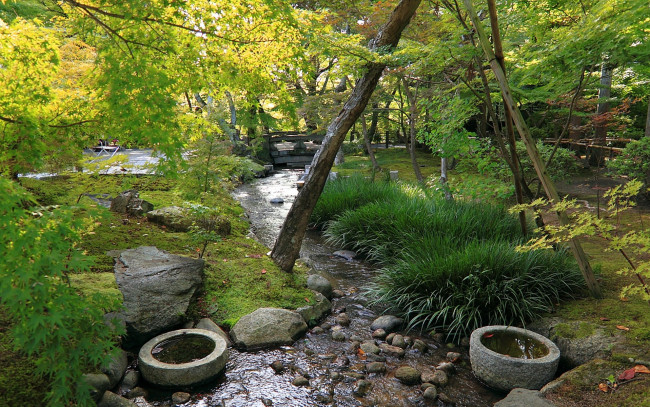 Обои картинки фото природа, парк