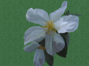 Картинка рисованные цветы