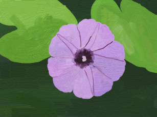 Картинка рисованные цветы