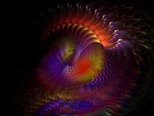 Картинка 3д графика fractal фракталы цвета линии узор фон рисунок