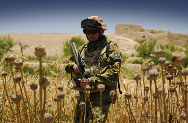 Обои картинки фото оружие, армия, спецназ, army, military