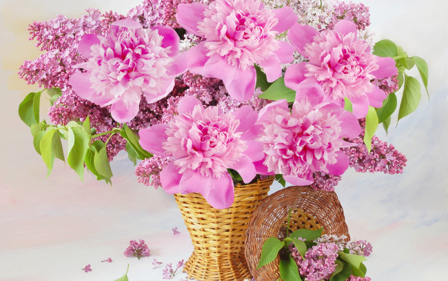 Обои картинки фото цветы, букеты,  композиции, сирень, пионы