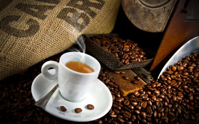 Обои картинки фото еда, кофе,  кофейные зёрна, зерна, чашка