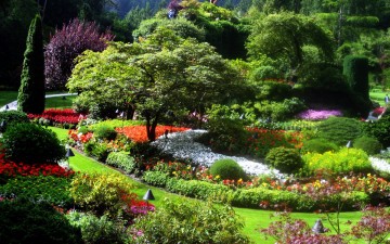 Картинка природа парк клумбы