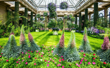 Картинка природа парк оранжерея