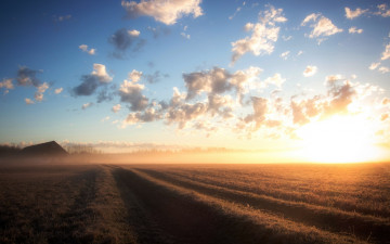 Картинка природа поля ряды облака небо поле