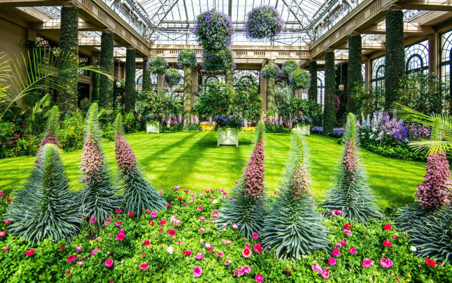 Обои картинки фото природа, парк, оранжерея