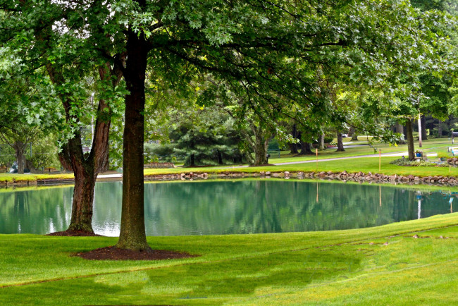 Обои картинки фото природа, парк, лужайка, деревья, пруд