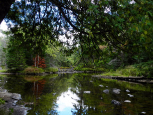 Картинка природа реки озера река камни отражение