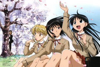 обоя аниме, school rumble, дерево, цветение, весна, сакура, наблюдение, парень, девушки