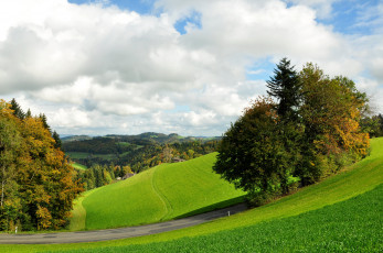 Картинка природа пейзажи поле лес деревья