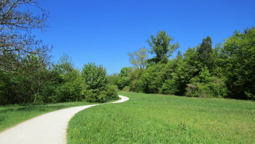 Картинка природа дороги луг лес дорога