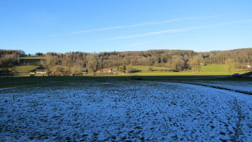 Картинка природа поля поле лес деревья