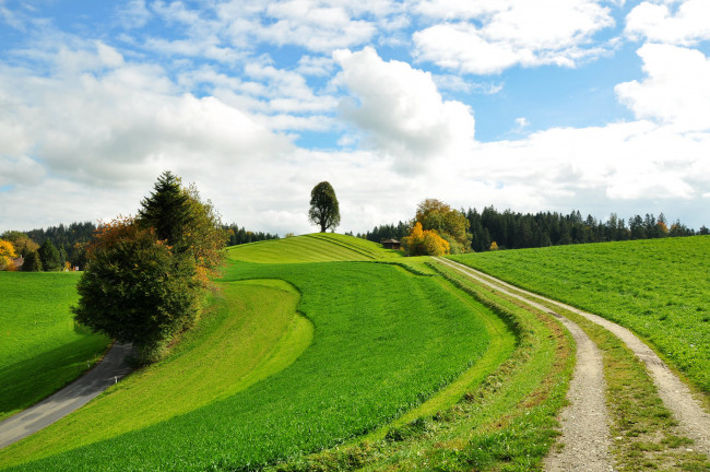 Обои картинки фото природа, дороги, поле, лес, деревья