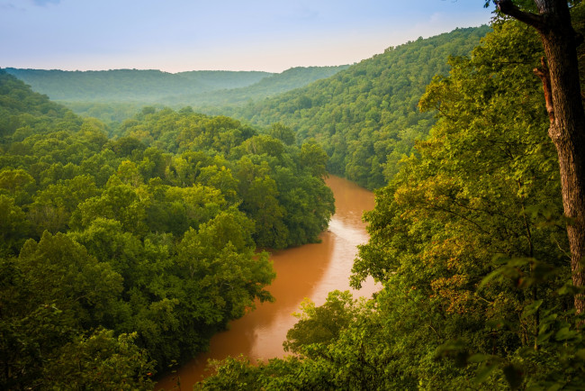 Обои картинки фото природа, пейзажи, вид, лес, река